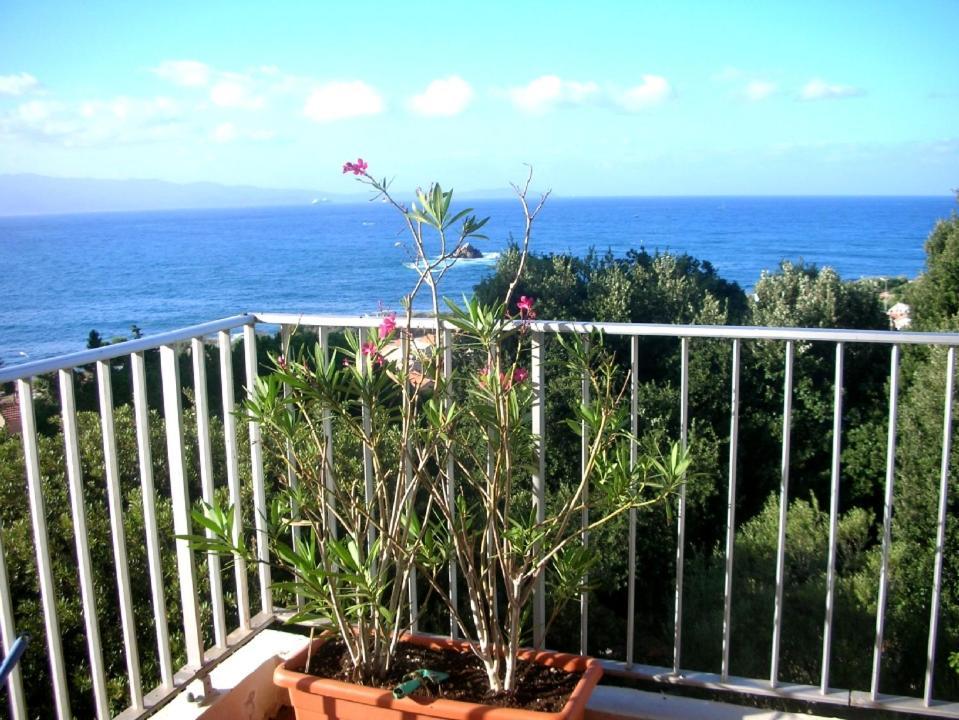 Appartement Climatise Vue Mer Route Des Sanguinaires Аяччо Экстерьер фото
